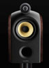 Bowers & Wilkins PM1